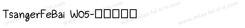 TsangerFeBai W05字体转换